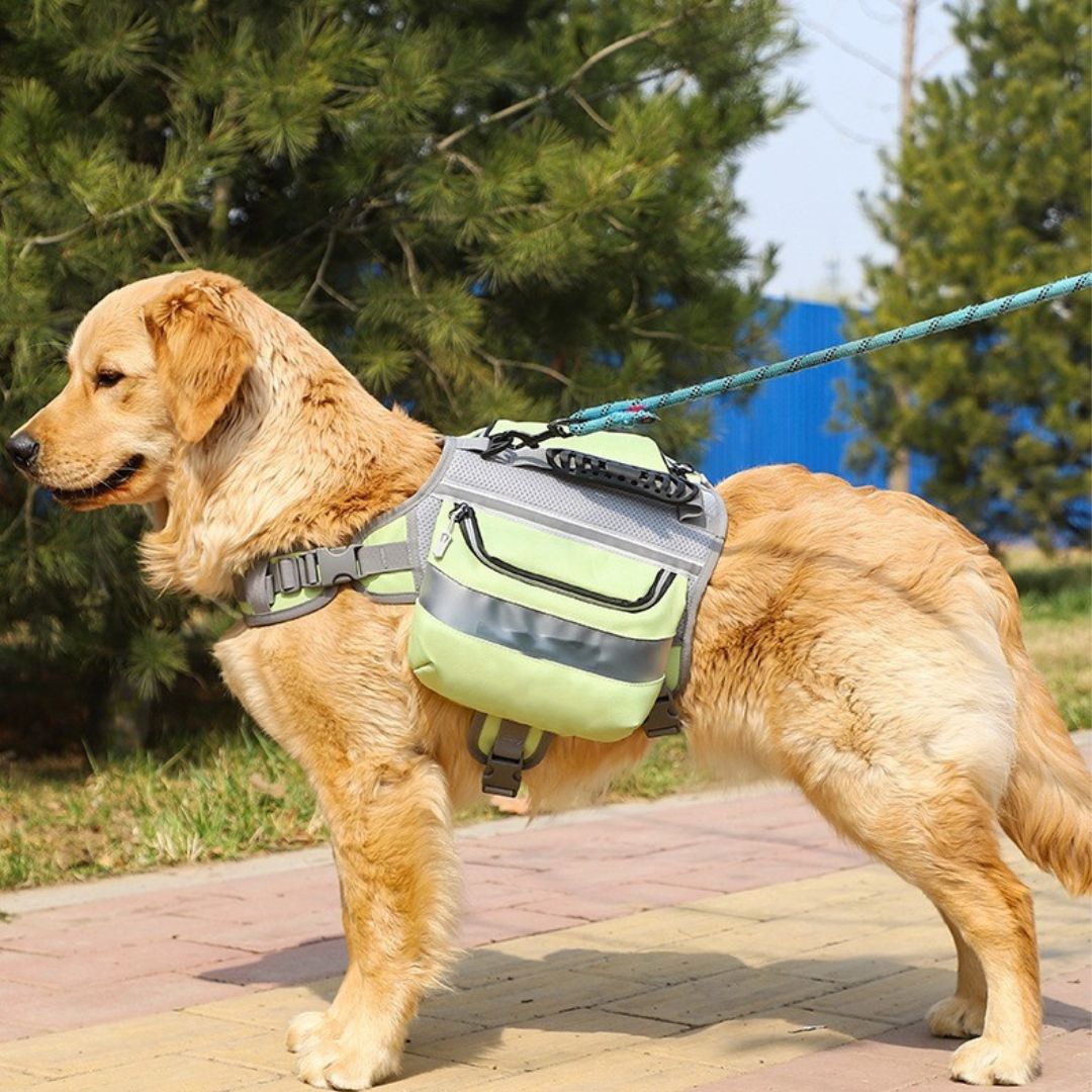 Outdoor Hunderucksack