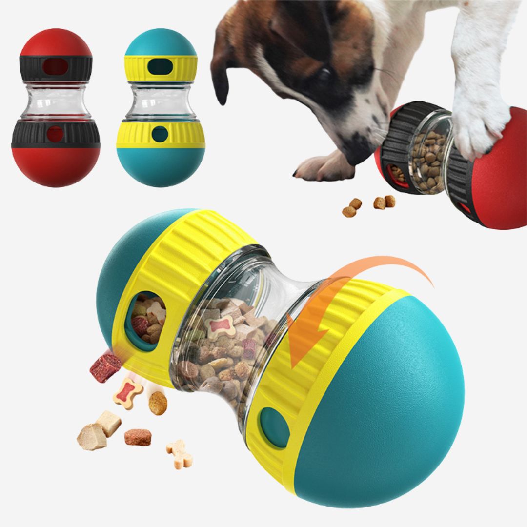 Futterball für Intelligent Hunde